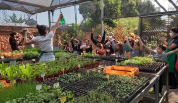 Dia das Crianças no Sabor de Fazenda: Brincadeira de Quintal + Feira Eco