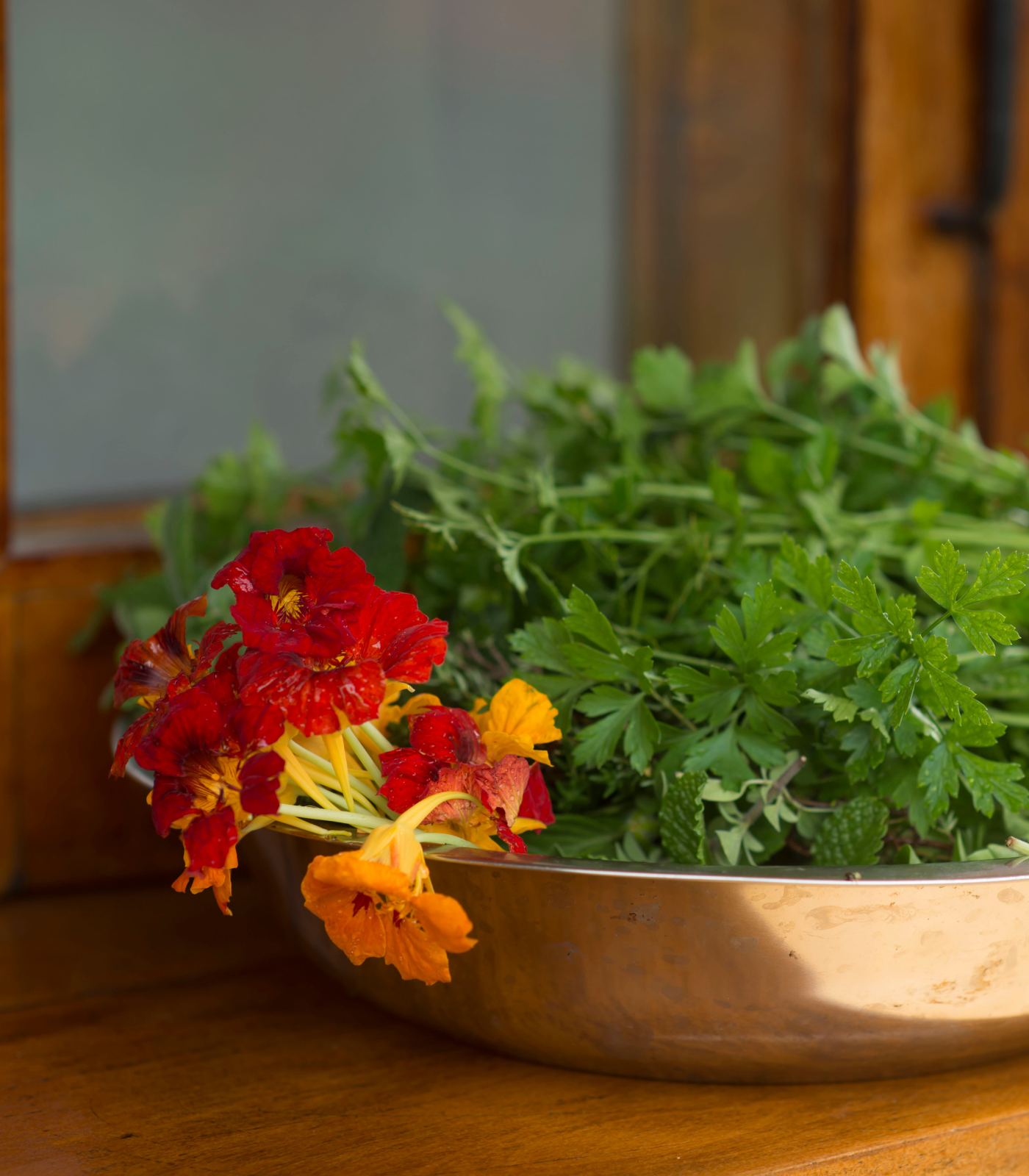 Curso Presencial Ervas Aromáticas: do Cultivo ao Uso Culinário com Silvia e Sabrina Jeha - sob consulta