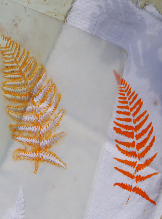 Curso Presencial Tintas Vivas: vegetais e minerais com Gabi Pastro – 31/01/2025 (sábado)