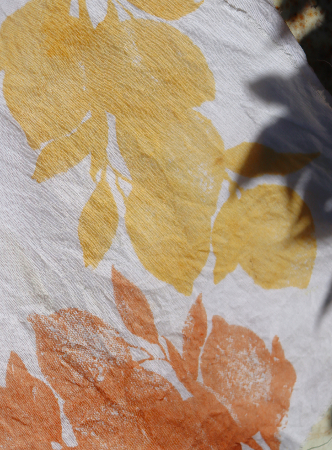 Curso Presencial Tintas Vivas: vegetais e minerais com Gabi Pastro – 31/01/2025 (sábado)