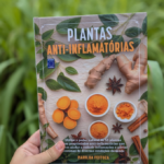 Curso Presencial Plantas Anti-inflamatórias: receitas práticas e usos no dia a dia com Marilua Feitoza – sob consulta