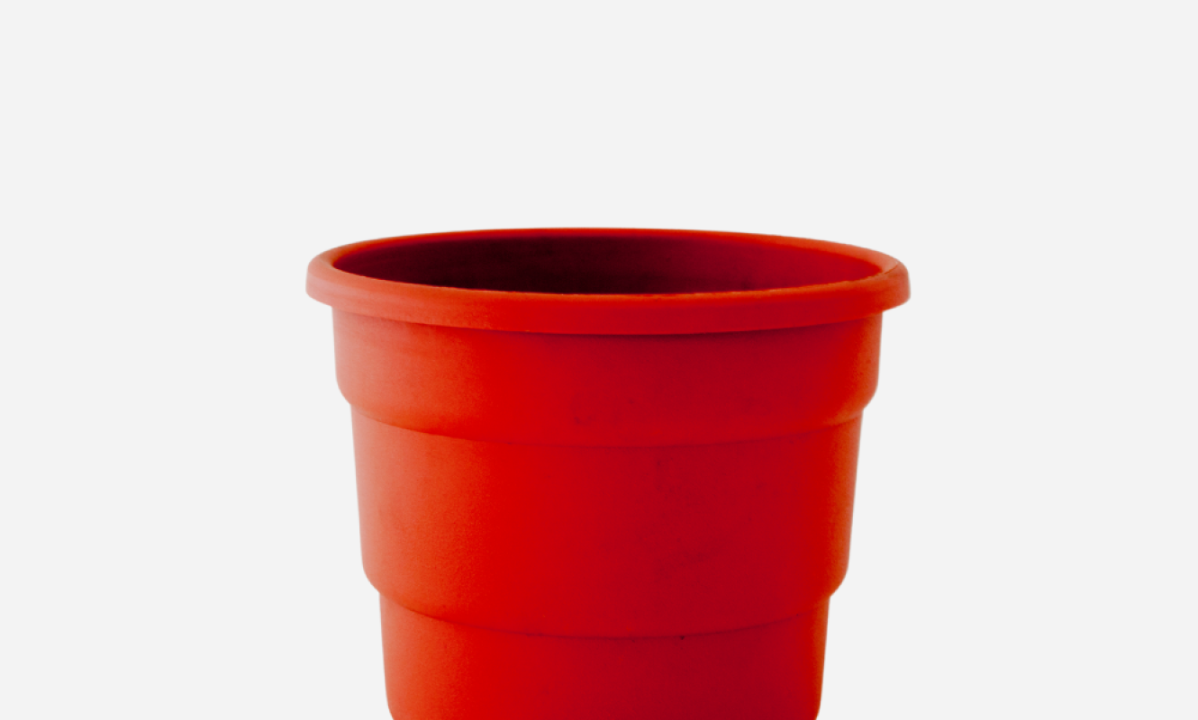 VASO-ROMA-P.png