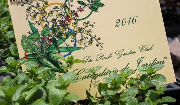Calendario_2016 (1)
