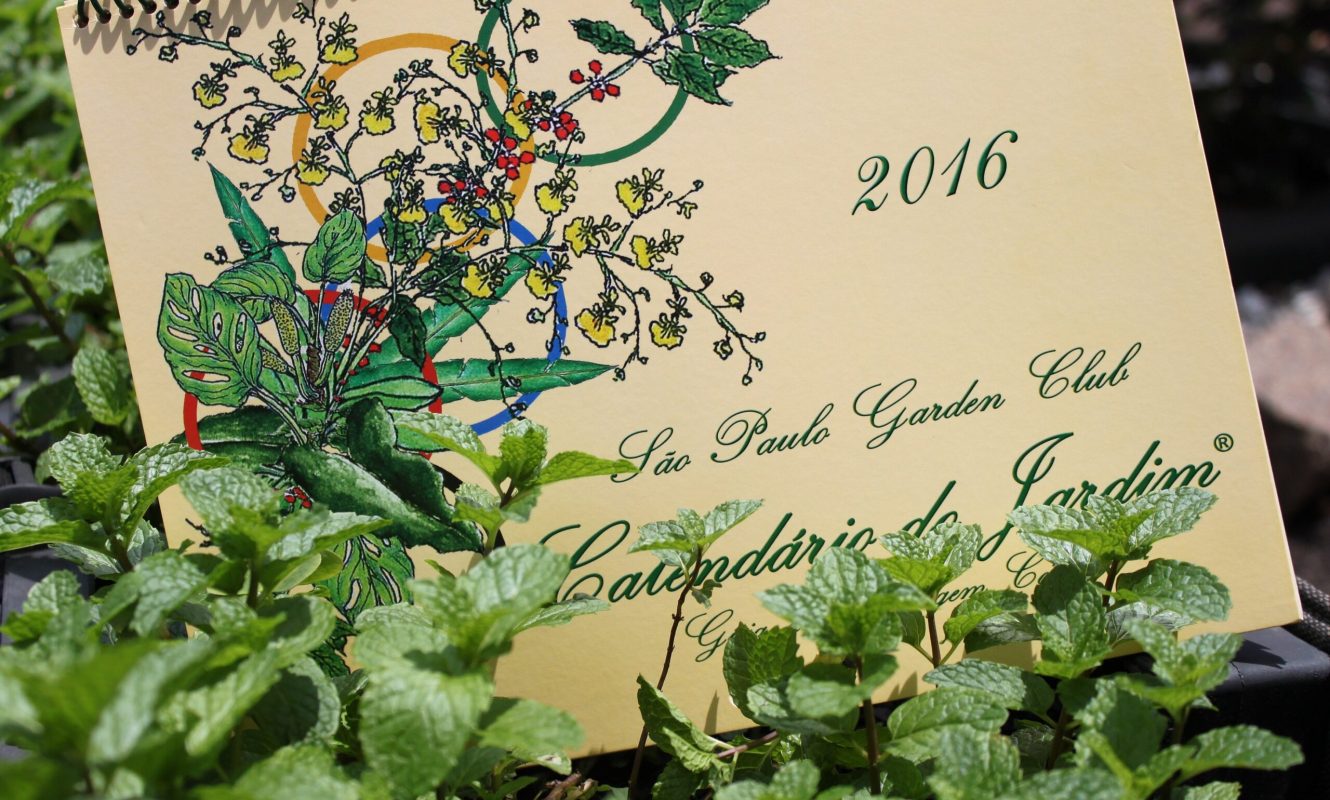 Calendario_2016 (1)
