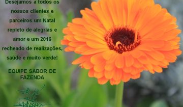 Cartão de Natal