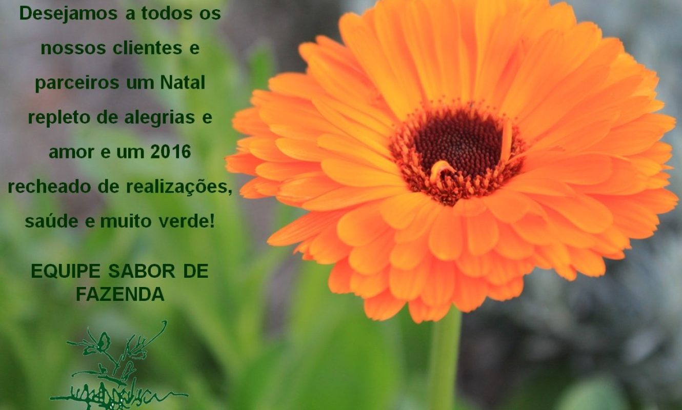 Cartão de Natal