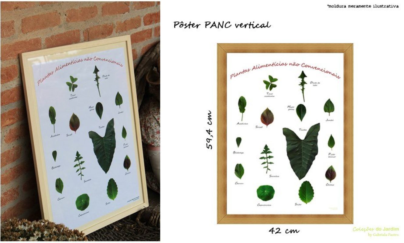 Coleções_do_Jardim (27)
