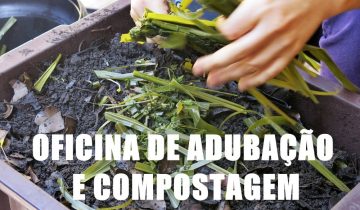 Compostagem_e_minhocário_Denise_Lindorfer (14)