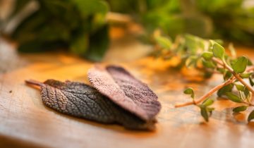 culinary-herbs-4198244_1920