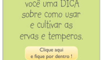 Dicas