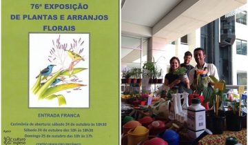 Flower_Show_2015 (8)