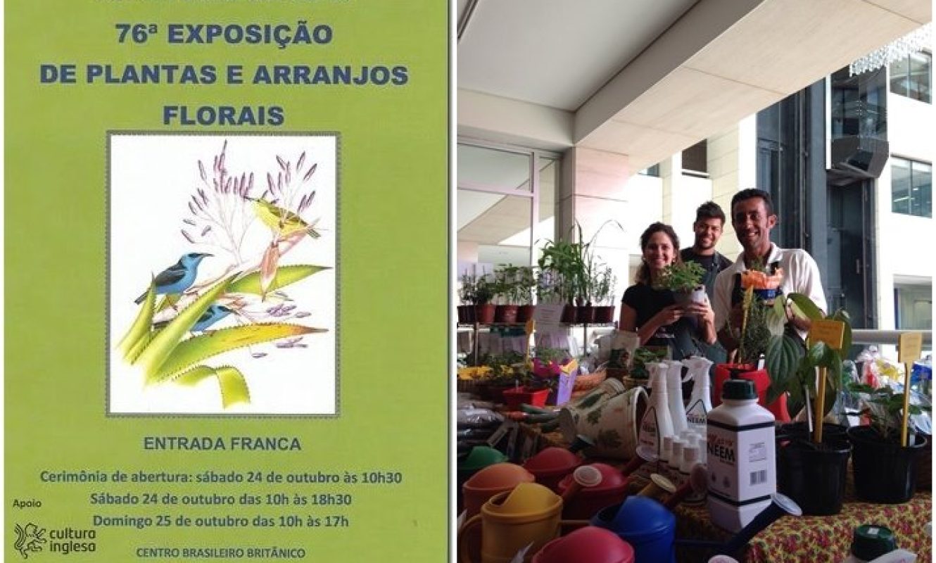 Flower_Show_2015 (8)