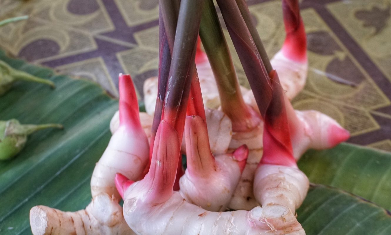 galangal-3270069_1920