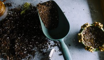 gardening-690940_1920