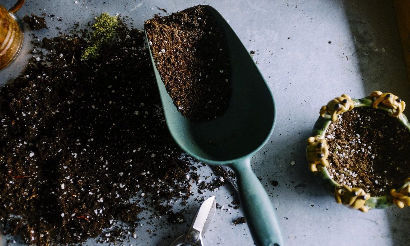 gardening-690940_1920