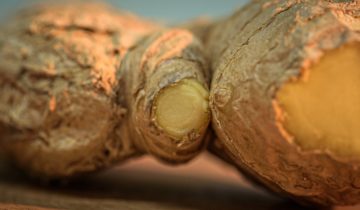ginger-g95a1c01ff_1920