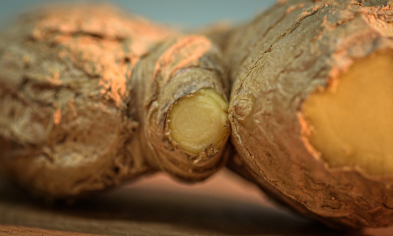 ginger-g95a1c01ff_1920