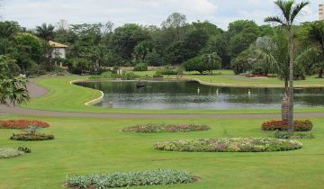 Jardim Botânico Plantarum_08_11_2014 (2)