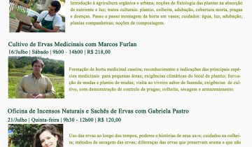 Montagem_email_compactado
