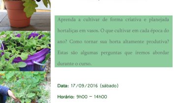 Montagens-redes_sociais-(180)