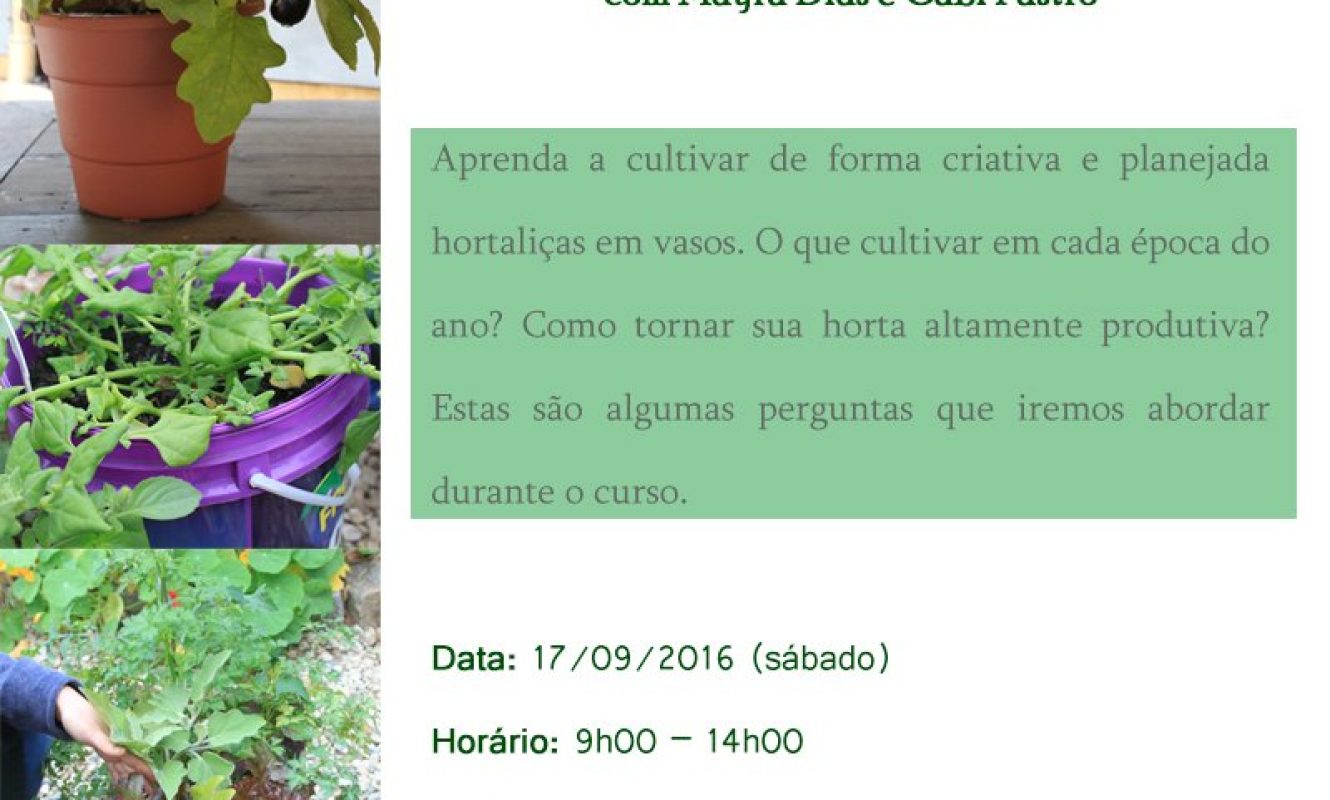 Montagens-redes_sociais-(180)