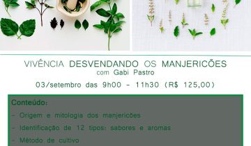 Montagens-redes_sociais-(182)