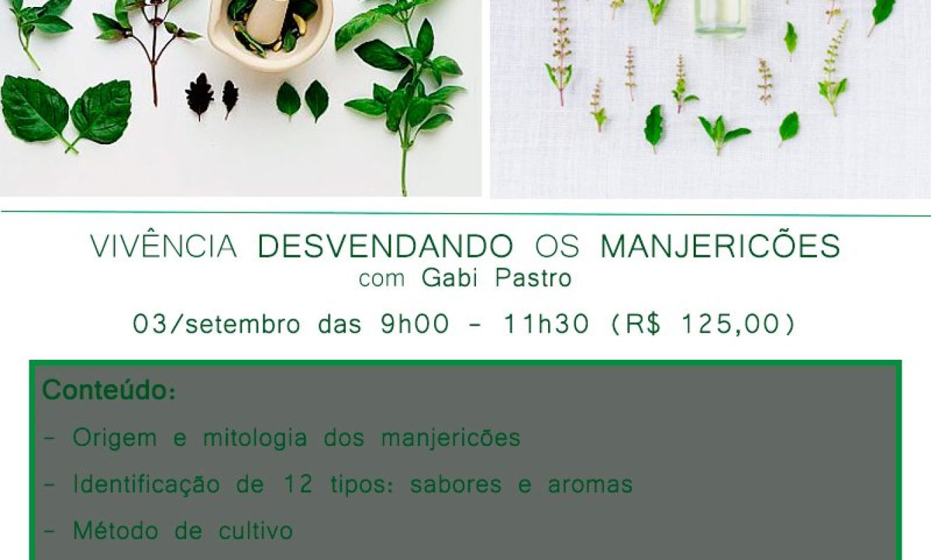 Montagens-redes_sociais-(182)