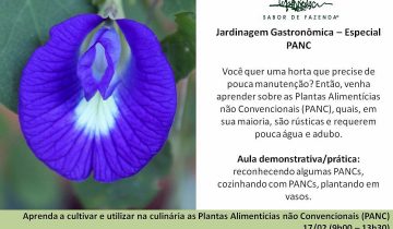 Montagens_redes_sociais (104)