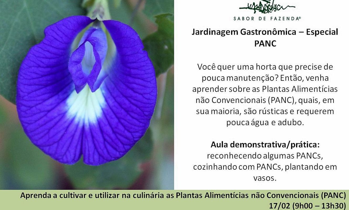 Montagens_redes_sociais (104)