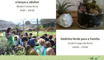 Montagens_redes_sociais (117)(1)