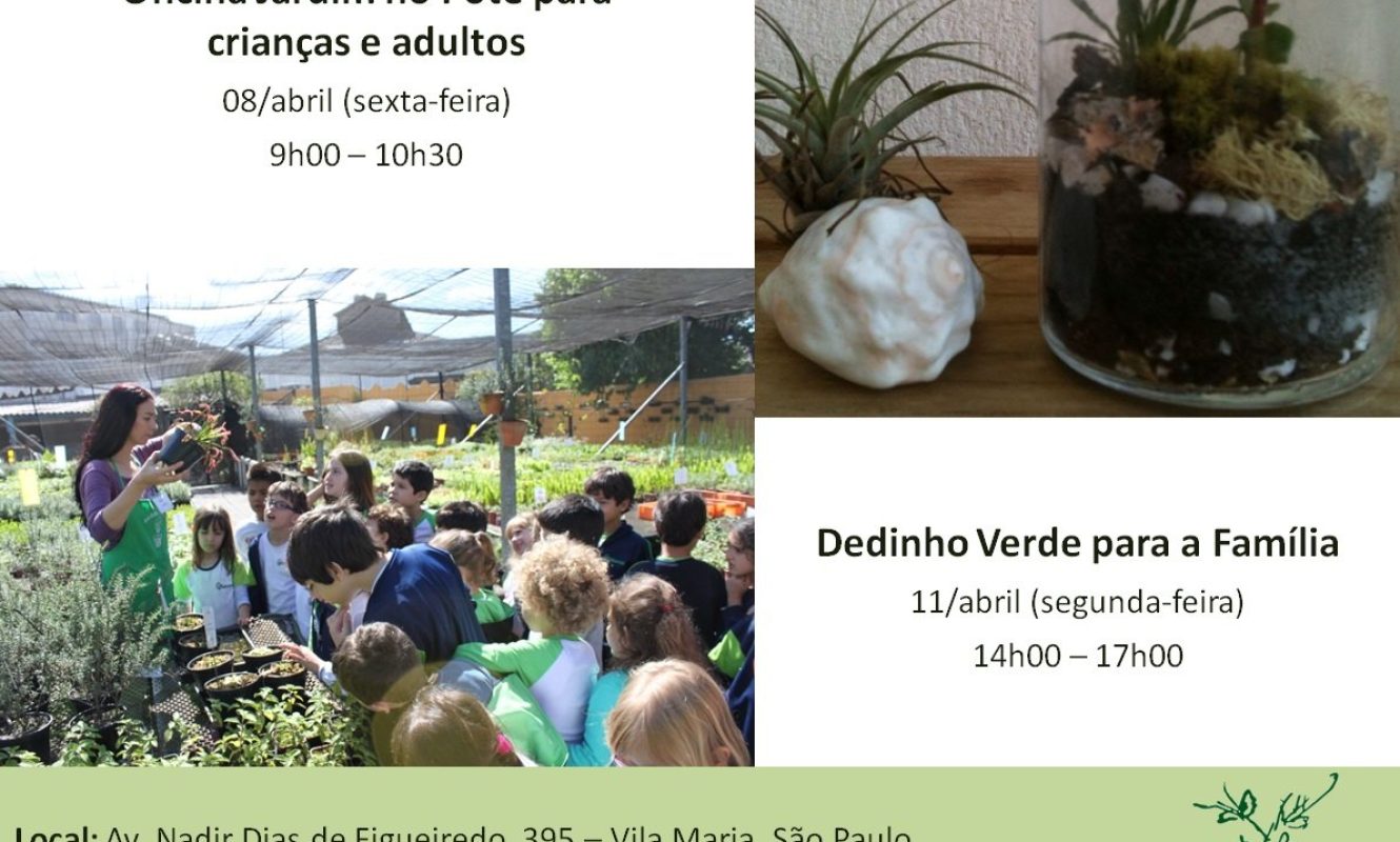 Montagens_redes_sociais (117)(1)