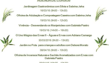 Montagens_redes_sociais (118)