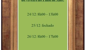 Montagens_redes_sociais (91)
