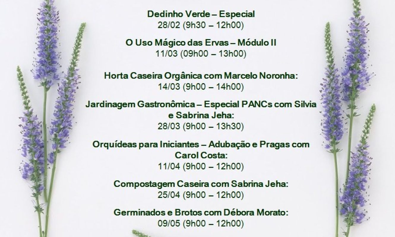 Montagens_redes_sociais_facebook (41)