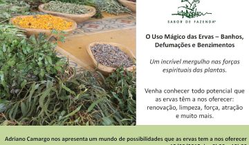 Montagens_redes_sociais_facebook (62)