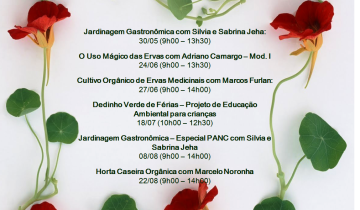 Montagens_redes_sociais_facebook (7)