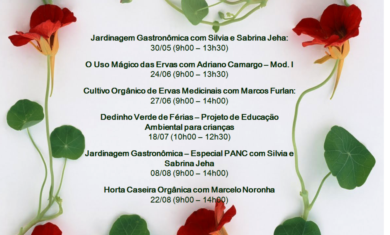 Montagens_redes_sociais_facebook (7)