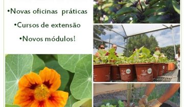 Novidades_2016 (3)