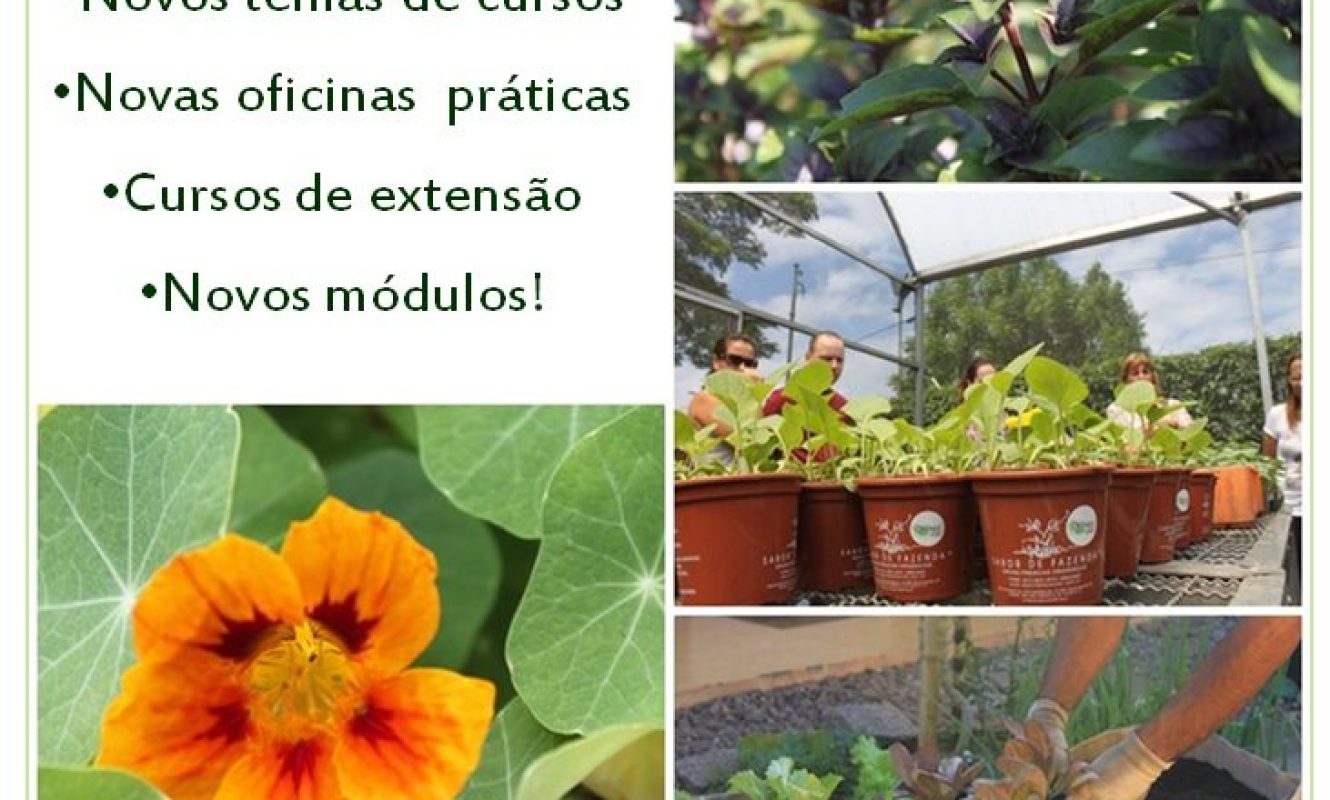 Novidades_2016 (3)