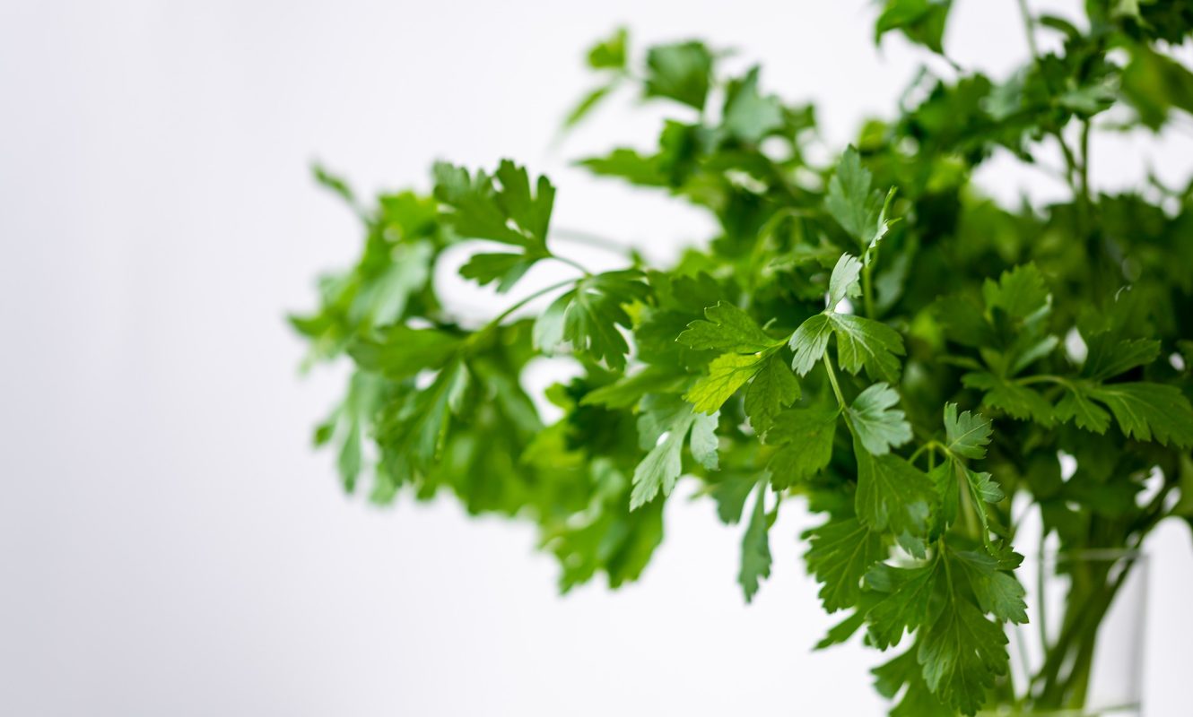 parsely-g223acd394_1920