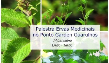ponto-garden