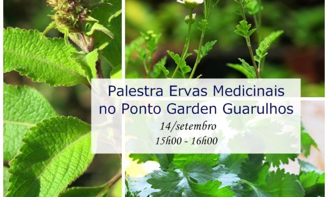 ponto-garden