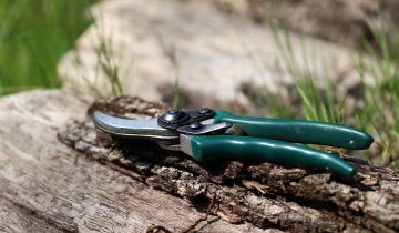 shears-1336374_1920