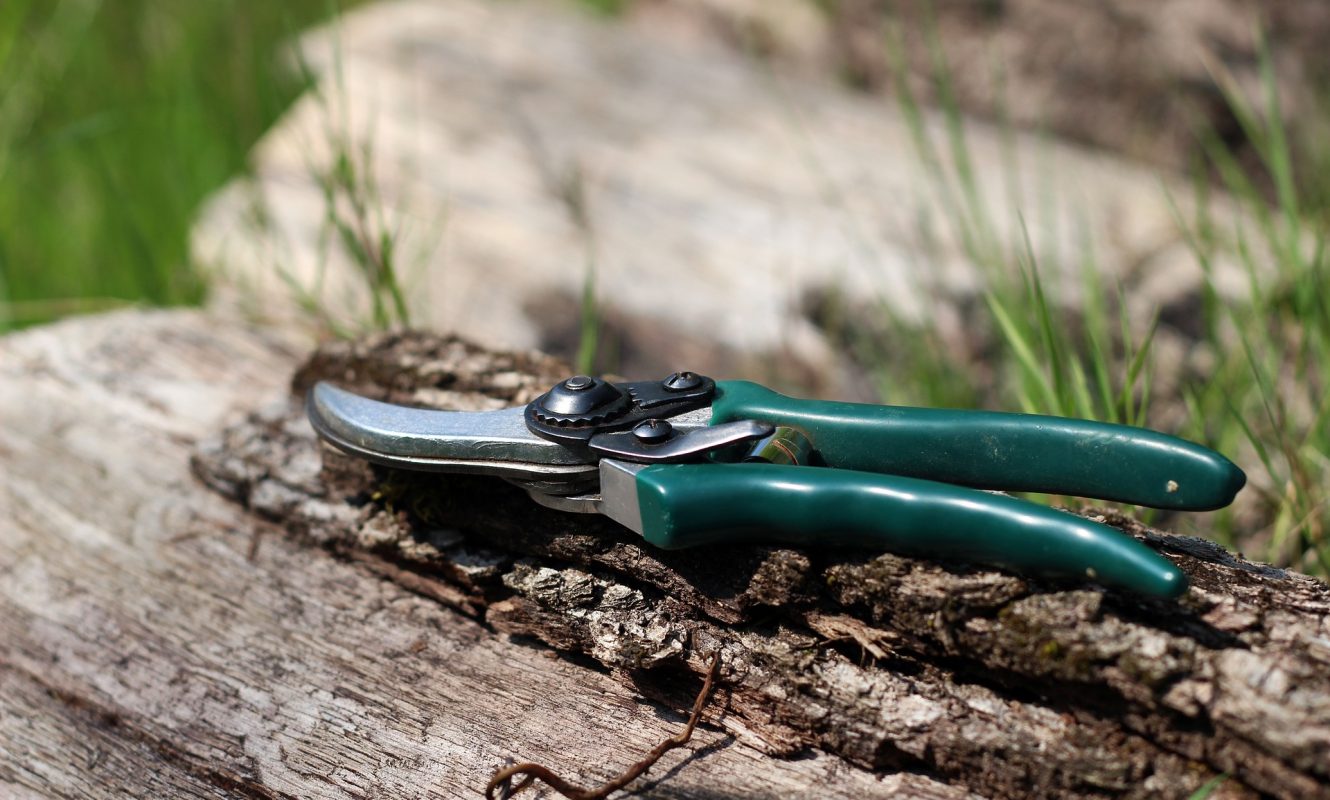 shears-1336374_1920