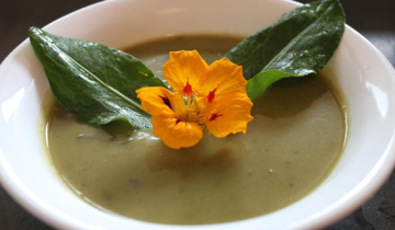 sopa de azedinha