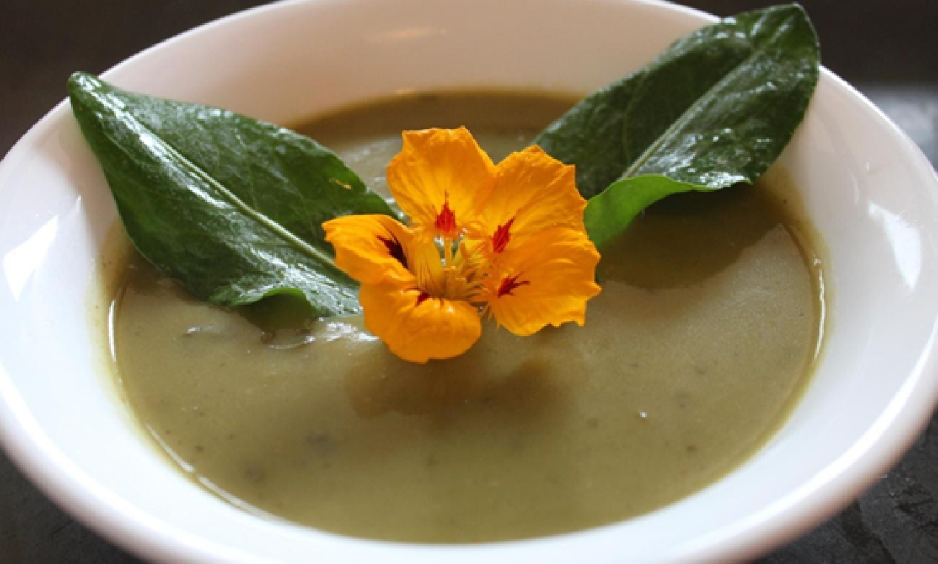 sopa de azedinha