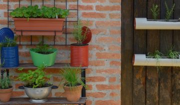 Vasos_alternativos_baixa_ZG (89)
