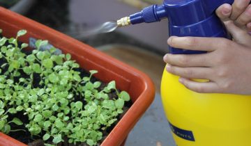 watering-603826_960_720