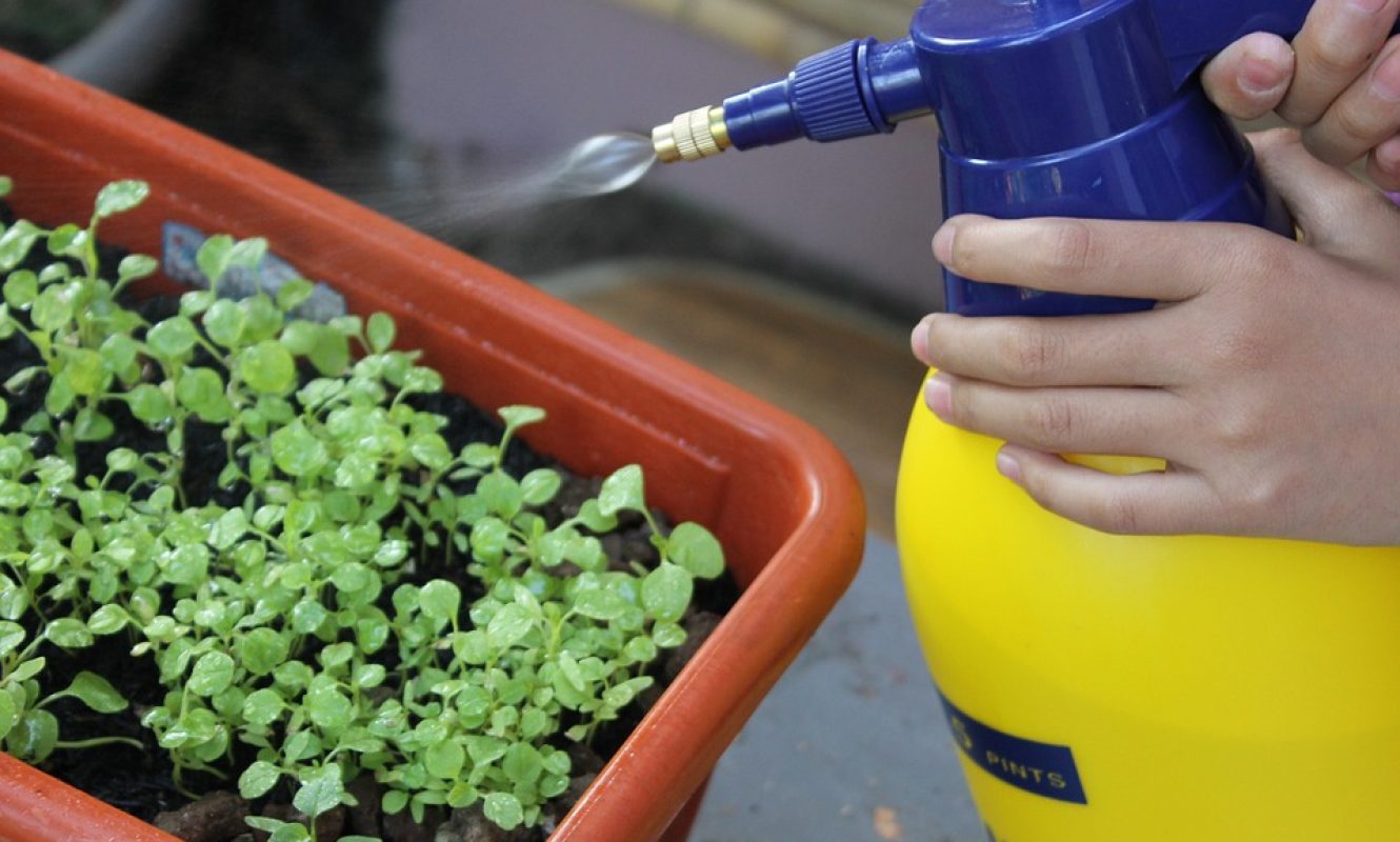 watering-603826_960_720