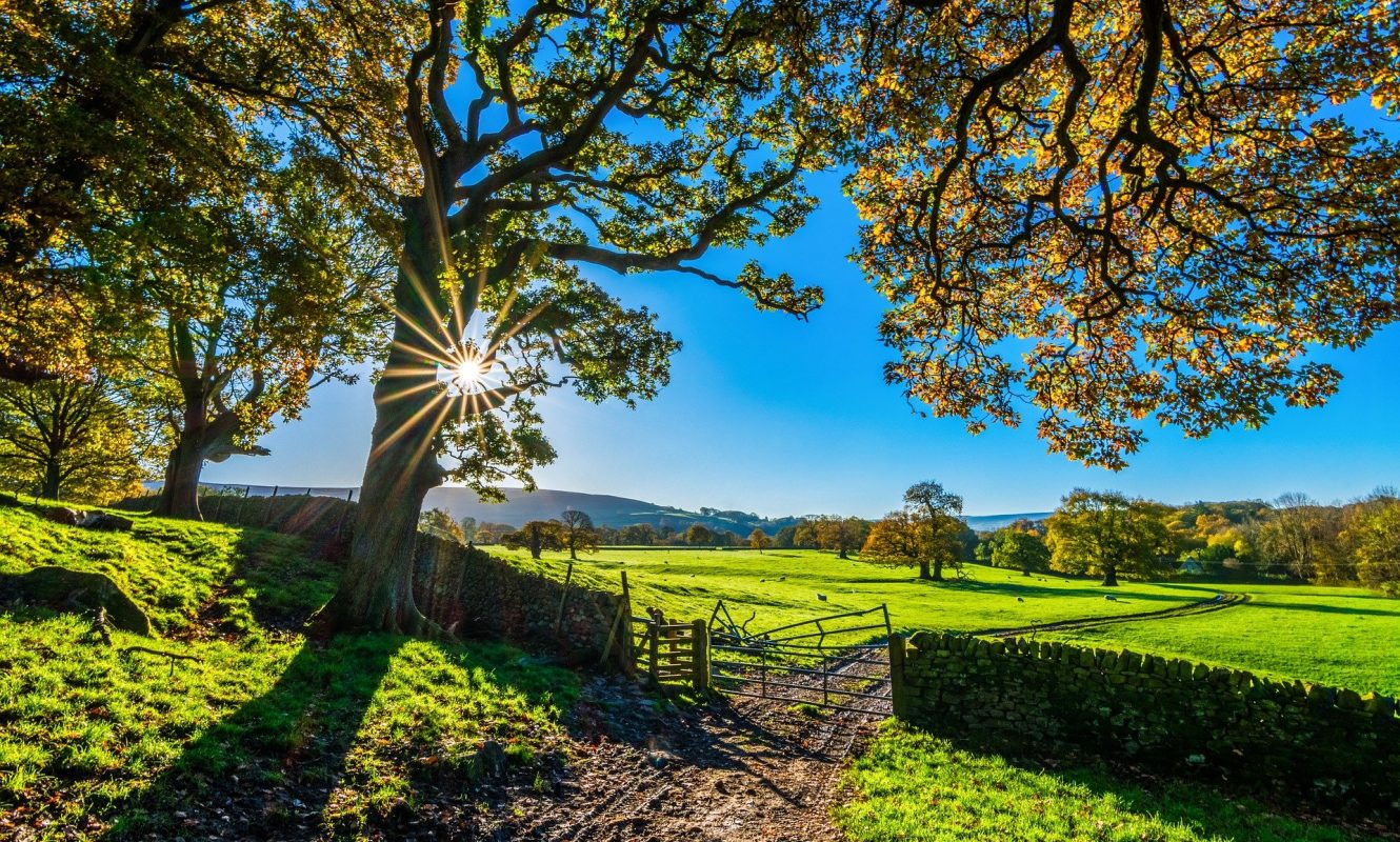 yorkshire-2900064_1920
